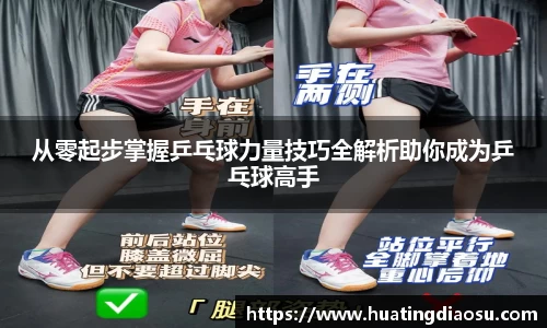 从零起步掌握乒乓球力量技巧全解析助你成为乒乓球高手